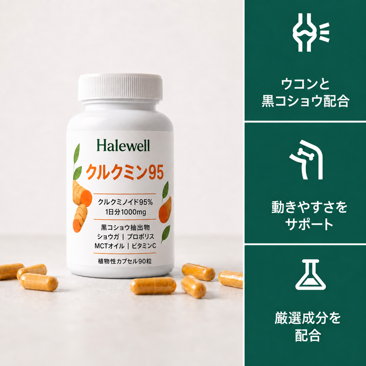 クルクミン95 ターメリック抽出物 · 3か月分