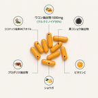 クルクミン95 ターメリック抽出物 · 3か月分